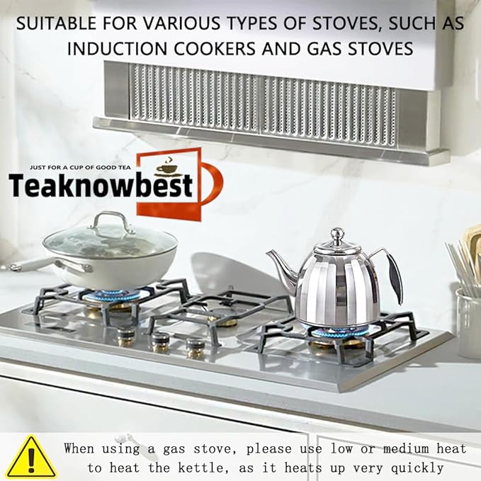 Stainless Steel Tea Pot with Removable Infuser - Loose Leaf Tea Maker, Home & Kitchen Teapot - Large 67.6 oz, Stovetop Safe Teapot for Tea/Coffee, Mirror Finish (2000ml) - Bloomnest