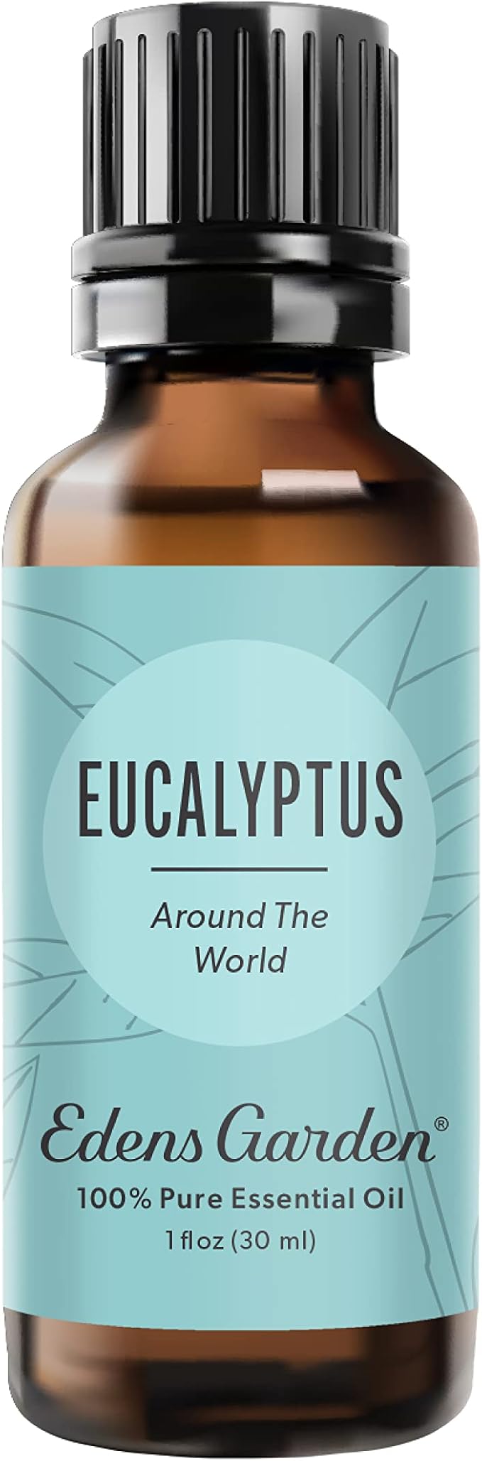 Edens Garden Eucalyptus Around The World Essential Oil- 100% Pure Premium Grade, Undiluted, Natural, Therapeutic, Aromatherapy, The Best for Diffuser, Candle, Laundry, Humidifiers 30 ml (1 fl oz) - Bloomnest