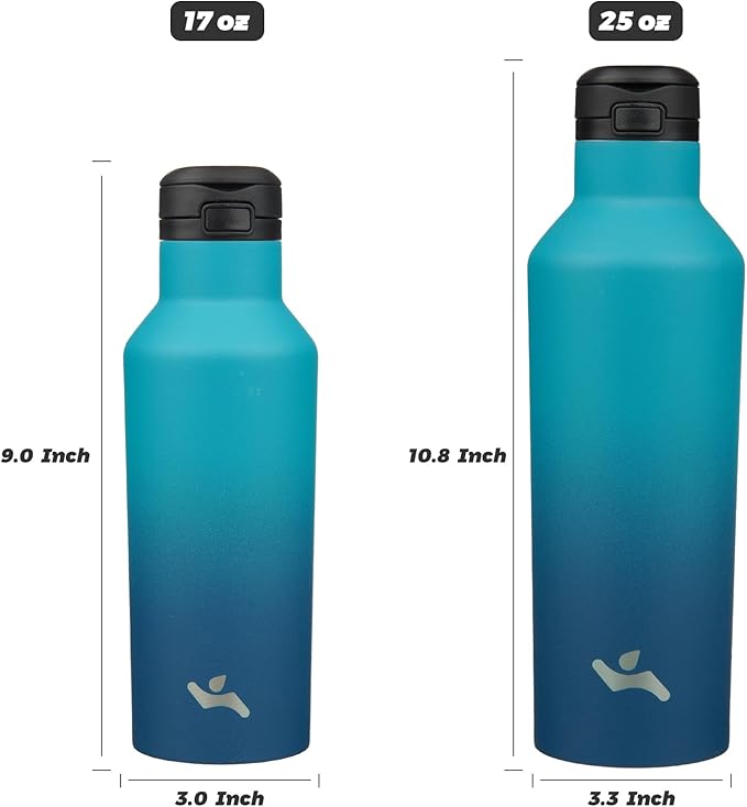 Insulated Water Bottle with Straw,17 OZ Double Wall Vacuum Stainless Steel Water Flask with 2 Lids,Indigo Black - Bloomnest