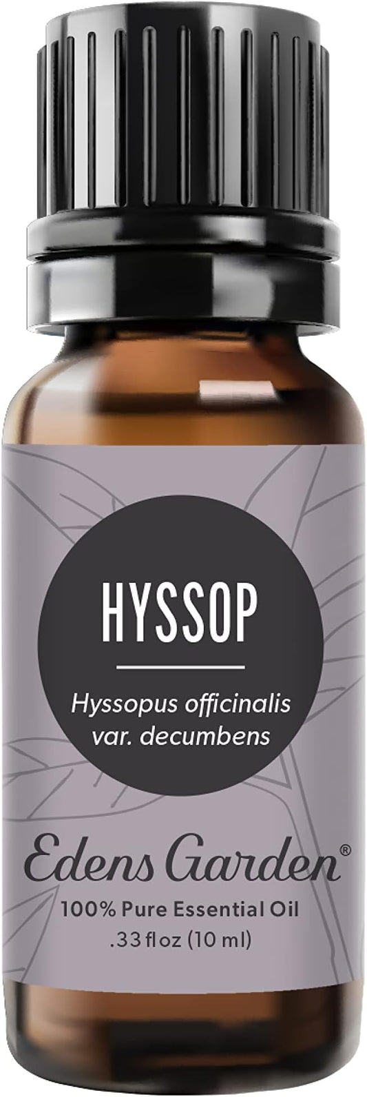 Edens Garden Hyssop Essential Oil, 100% Pure Therapeutic Grade (Undiluted Natural/Homeopathic Aromatherapy Scented Essential Oil Singles) 10 ml EdensGarden