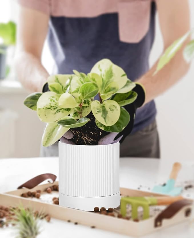 LaDoVita 3 Pack Ceramic Plant Pots 6/5/4 inch, Flowerpot for Indoor Plants with Drainage Holes and Tray, Outdoor Garden Planters, Modern Decorative for Home, White Vertical Stripes - Bloomnest