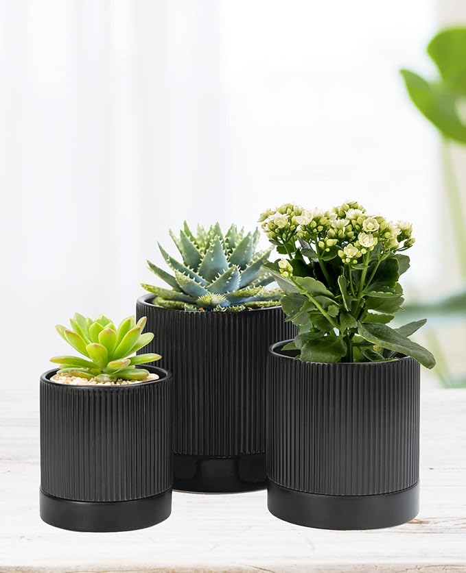 LaDoVita 3 Pack Ceramic Plant Pots 6/5/4 inch, Flowerpot for Indoor Plants with Drainage Holes and Tray, Outdoor Garden Planters, Modern Decorative for Home, Black Vertical Stripes - Bloomnest
