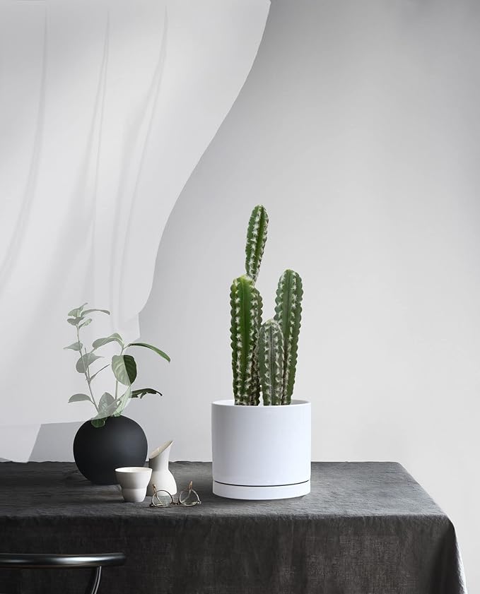 Aveyas 8 inch Ceramic Plant Pot with Drainage Hole and Saucer - Suitable for Indoor and Outdoor Use, Modern Planters for House Garden Flower Tree Snake Monstera Plants (8", Glossy White) - Bloomnest