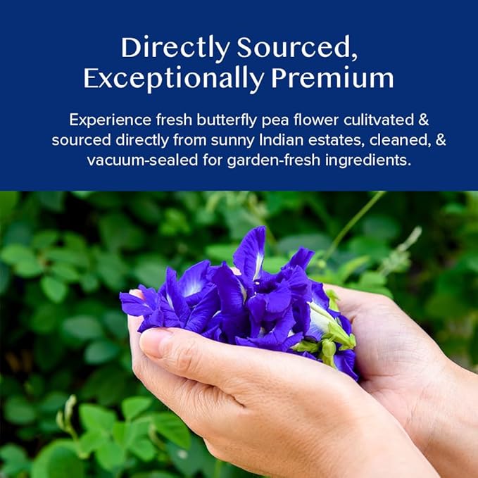 VAHDAM, Butterfly Pea Flower Tea (1.76oz) 100+ Cups | Delicate & Earthy | Vacuum Sealed for Freshness | Butterfly Pea Flower Loose Leaf | Brew Iced Tea, Cooking, Mocktails & Cocktails - Bloomnest
