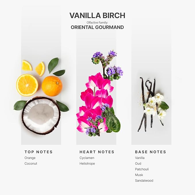 AromaPlan Hotel Scents Vanilla Birch 5 Fl Oz (148ml), Home Luxury Aroma & Hotel Fragrance Diffuser Oil- Hotel Diffuser Oil for Aromatherapy- USA Made, Bigger Bottle, Bolder Aroma & Longer Lasting - Bloomnest