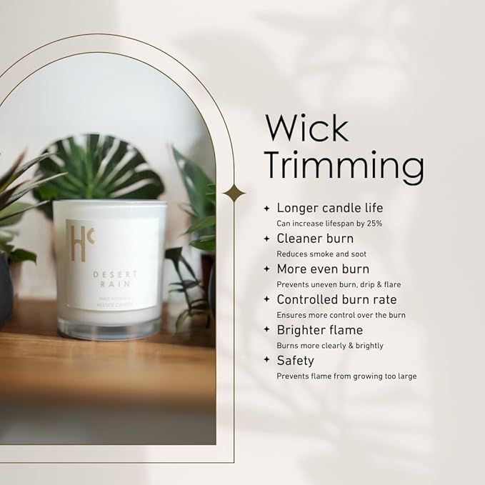 Desert Rain Single Wick Soy Candles, Luxury Scented Candles for Home - Up to 60 Hour Burn Time, Cruelty-Free Soy Wax Blend - Rain Fragrance, Notes of Cardamom & Apple Blossom (9 oz) - Bloomnest