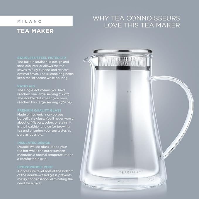 Teabloom Insulated Teapot Keeps Tea Hot – Tea Maker For Two (24 oz) – Double Wall Heatproof Glass Tea Steeper with Stainless Steel Filter Lid for Loose Leaf Tea - Bloomnest