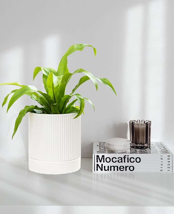 LaDoVita 3 Pack Ceramic Plant Pots 6/5/4 inch, Flowerpot for Indoor Plants with Drainage Holes and Tray, Outdoor Garden Planters, Modern Decorative for Home, White Vertical Stripes - Bloomnest