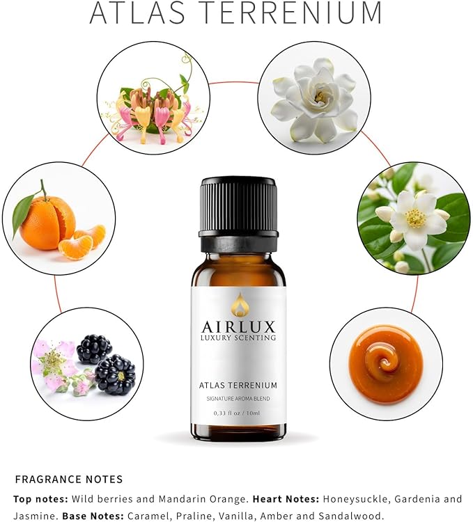 Signature Aroma Oil No. 223 Atlas Terrenium – Cardamom, Iris, Black Pepper – Aroma Oil for Cold Air & Waterless Diffusers and DIY Crafts – 10 mL, 0.34 fl oz Glass Bottle Airlux