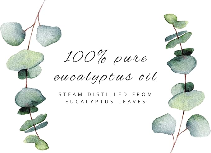 2 Bottles – GreenHealth Eucalyptus Essential Oil – 16 fl oz Each (32 fl oz Total) – 100% Pure & Uncut – Bulk Aromatherapy Oil in Aluminum Bottles – for Diffuser, Cleaning, DIY, Home Fragrance - Bloomnest