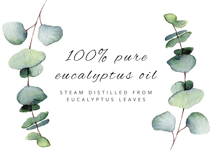 GreenHealth Eucalyptus Essential Oil – 15 ml (0.5 fl oz) – 100% Pure & Natural – Therapeutic Grade Aromatherapy Oil – Amber Glass Bottle with Euro Dropper – for Diffuser, Cleaning, Home Use Greenals