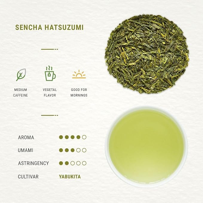Senbird Premium Sencha - Japanese Green Tea - From Shizuoka, Japan - Loose Leaf Tea In Airtight Tea Tin (3.5oz/100g) - Bloomnest