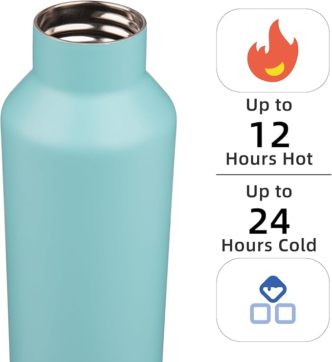 Insulated Water Bottle with Straw,25 OZ Double Wall Vacuum Stainless Steel Water Flask with 2 Lids,Turquoise - Bloomnest