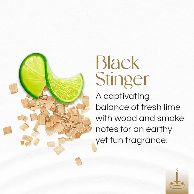 Gonesh - Extra Rich Incense Sticks - Non-Toxic 10” Slow Burn Aromatic Sticks - Black Stinger - 100 Count Gonesh