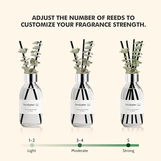 Clesh Reed Diffuser Set, 6.7 oz Eucalyptus Scented Diffuser with Sticks, Home Fragrance Reed Diffuser for Bathroom Shelf Decor - Bloomnest