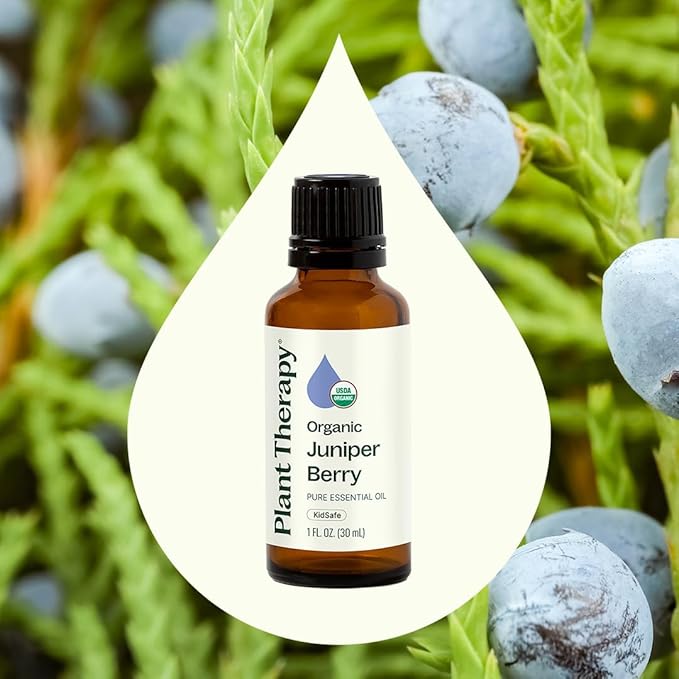 Plant Therapy Organic Juniper Berry Essential Oil 100% Pure, Undiluted, Natural Aromatherapy, Therapeutic Grade 10 mL (1/3 oz) - Bloomnest