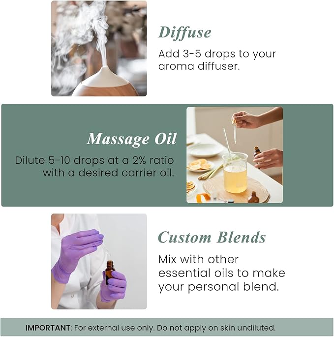 Handcraft Blends Eucalyptus Essential Oil – 0.33 Fl Oz – 100% Pure and Natural – Premium Grade Essential Oil for Diffuser and Aromatherapy, Skin, Massage, Candle and Soap Making Fragrance - Bloomnest