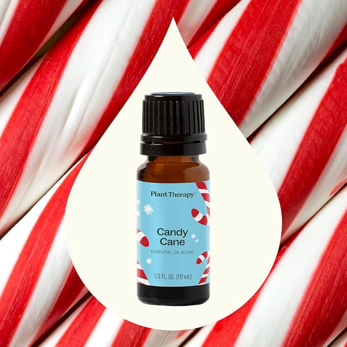Plant Therapy Candy Cane Holiday Essential Oil Blend 10 mL (1/3 oz) Familiar, Sweet, Minty Aroma, Evokes The Scent of The Traditional Candy Cane, Use Topically, Uplifting and Invigorating Feeling - Bloomnest