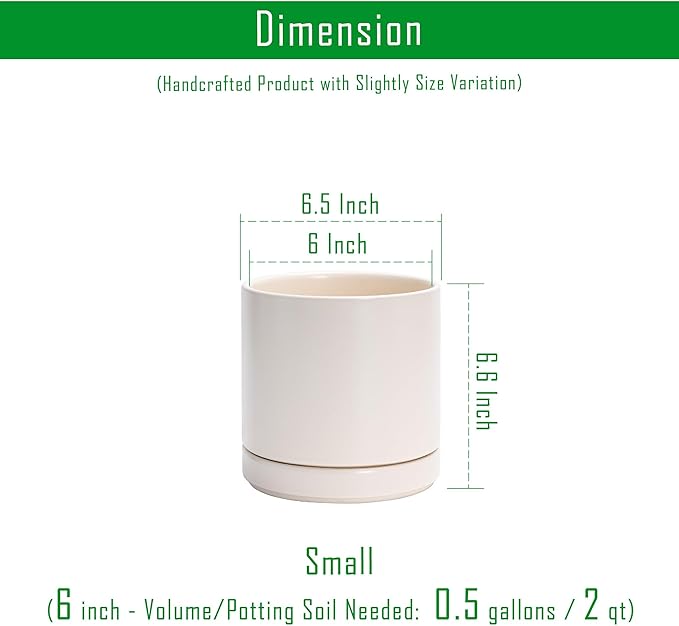 D'vine Dev Set of 2 Plants Pots, 6.5 Inch Ceramic Planter Pot for Plants with Drainage Hole and Saucer, Oatmeal, 94-V-C-8 - Bloomnest