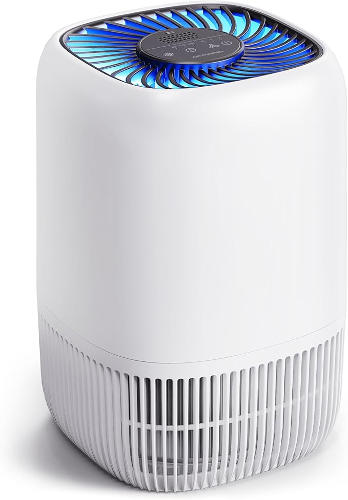 Air Purifiers for Home with H13 True HEPA Filter Up to 1076 Ft² for Pet Hair, Odors, Pollen, Smoke, Compact Air Cleaner with 3 Speeds, Timer, Aroma Quiet 360°Intake Filter, White - Bloomnest