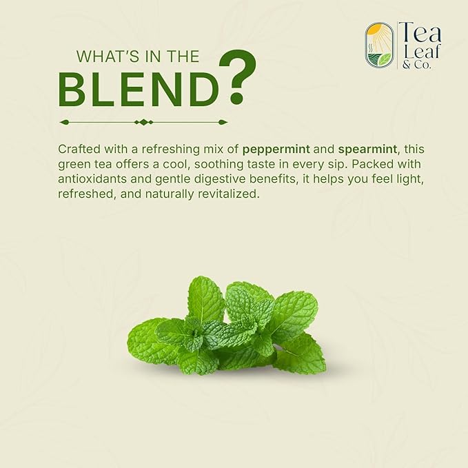 Tea Leaf & Co. Mint Green Tea Bags (50), Green Tea w/ Peppermint & Spearmint, Caffeinated, Real & Natural Green Tea, Blended with Fresh Herbs & Spices - Bloomnest