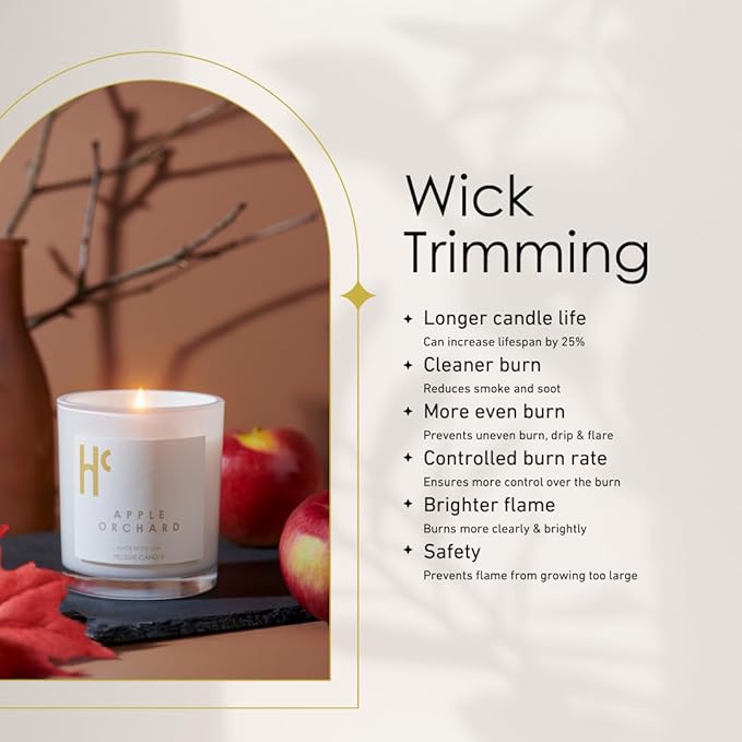 Long-Lasting Apple Orchard Fragrance - Single Wick Scented Candles - Up to 60 Hour Burn Time, Cruelty-Free Soy Candle Wax Blend - Apple Blossom & Sheer Musk Fragrance (9 oz) - Bloomnest
