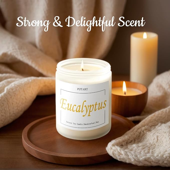 Eucalyptus Mint Highly Scented Candles, Natural Soy Aromatherapy Organic Non Toxic Candles with Long Lasting Burn, Luxury Essential Fragrance Jar Candle Gift for Birthday, Housewarming (9oz) - Bloomnest