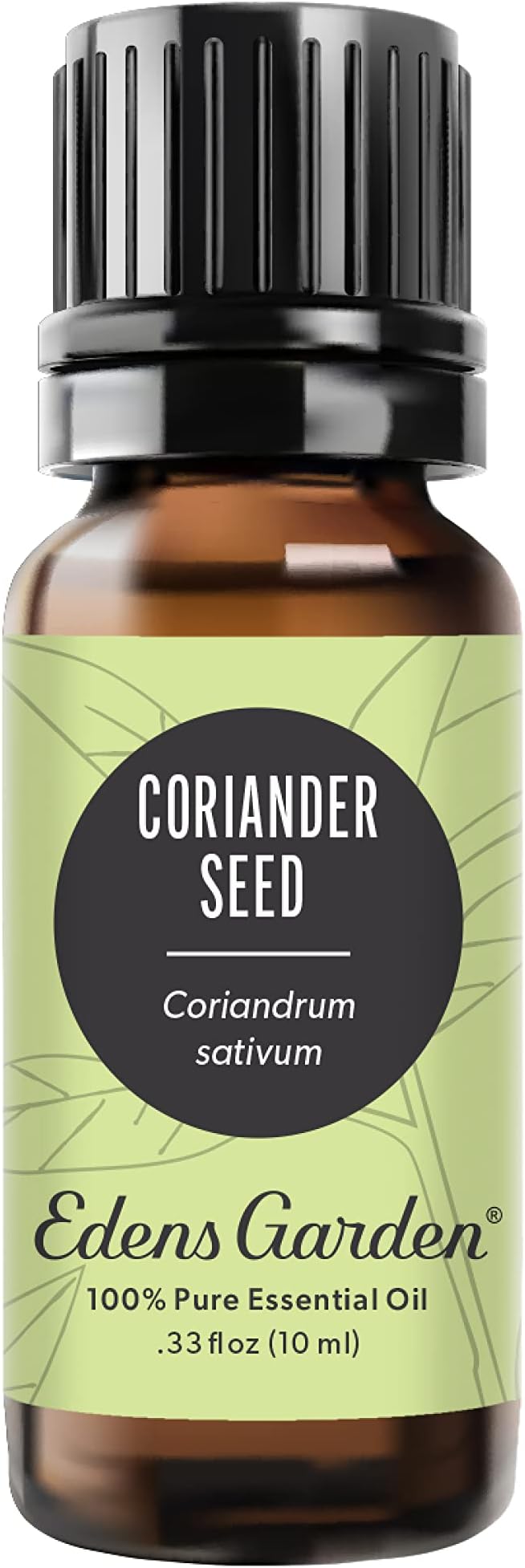 Edens Garden Coriander Seed Essential Oil- 100% Pure Premium Grade, Undiluted, Natural, Therapeutic, Aromatherapy, The Best for Diffuser, Skin, Candle, Kid Safe 10 ml (.33 fl oz) - Bloomnest