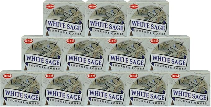 White Sage Incense Cones and Cone Incense Burner Bundle Insence Insense Hem Incense TRUMIRI