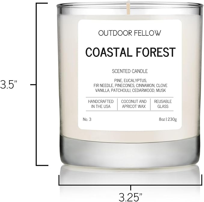 Outdoor Fellow Coastal Forest Scented Candle, 8oz, Coconut & Apricot Wax Blend, Pine, Eucalyptus, Cedarwood, Reusable Glass, 40-50 Hour Burn Time - Bloomnest