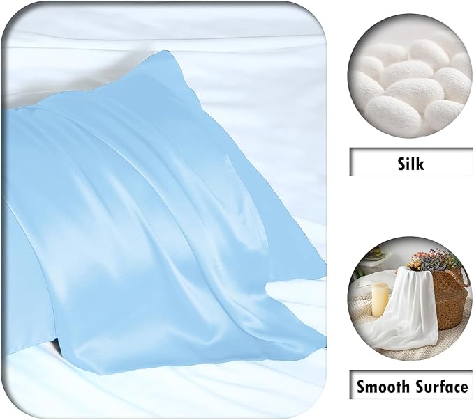 Silk Pillow Cases 2 Pack,Soft Breathable and Sliky Queen Size Pillow Cases Set of 2,Natural Mulberry Silk Pillowcase Set of 2 for Hair and Skin with Hidden Zipper (Sky Blue,20"X 30",2pcs) - Bloomnest