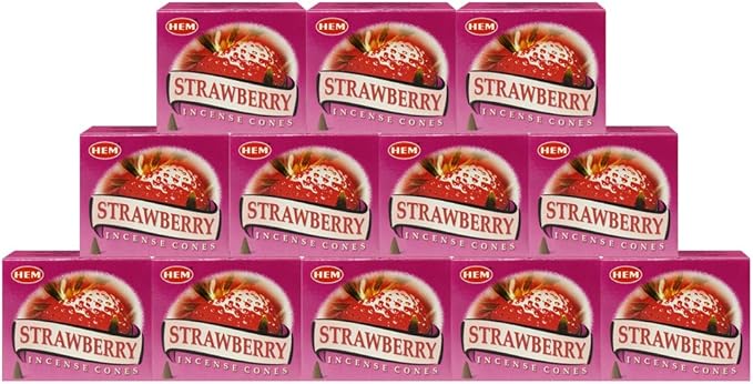 Strawberry Incense Cones and Cone Incense Burner Bundle Insence Insense Hem Incense TRUMIRI