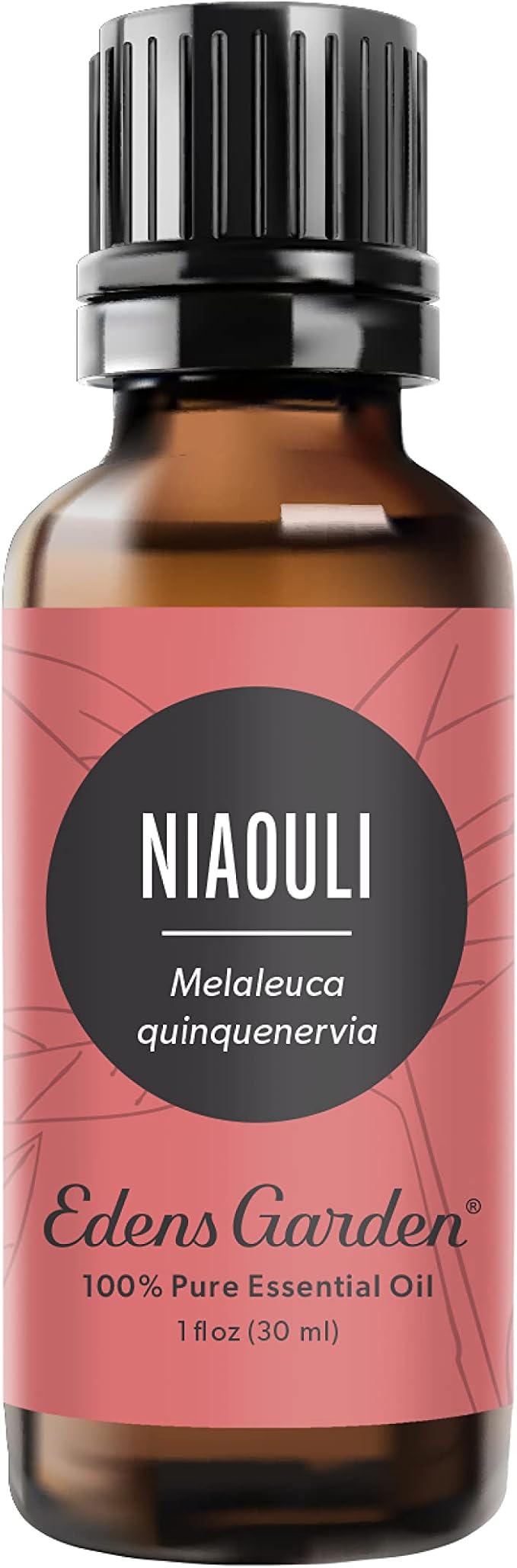 Edens Garden Niaouli Essential Oil- 100% Pure Premium Grade, Undiluted, Natural, Therapeutic, Aromatherapy, The Best for Diffuser, Skin, Candle, Humidifiers 30 ml (1 fl oz) EdensGarden
