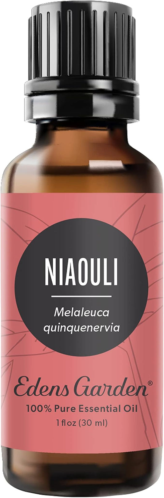 Edens Garden Niaouli Essential Oil- 100% Pure Premium Grade, Undiluted, Natural, Therapeutic, Aromatherapy, The Best for Diffuser, Skin, Candle, Humidifiers 30 ml (1 fl oz) EdensGarden