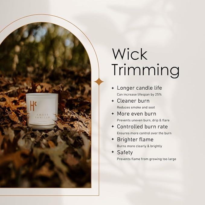 Long-Lasting Amber Vanilla Fragrance - Single Wick Scented Candles - Up to 60 Hour Burn Time, Cruelty-Free Soy Candle Wax Blend - Warm Golden Amber & Vanilla Fragrance (9 oz) - Bloomnest