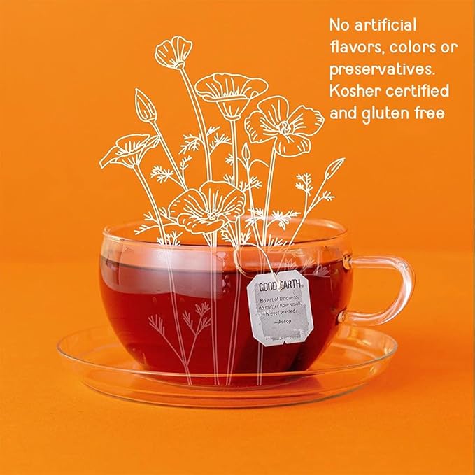 Good Earth Herbal & Black Tea, Sweet & Spicy, 18 Count Tea Bags (Pack of 6) (Packaging May Vary) - Bloomnest