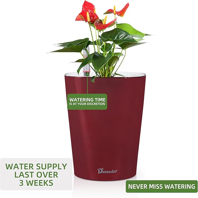 Dexceder 6x7 Self Watering Planter Indoor Outdoor, High Gloss Table Flower Plant Pot with Water Level Indicator (Wine Red) - Bloomnest