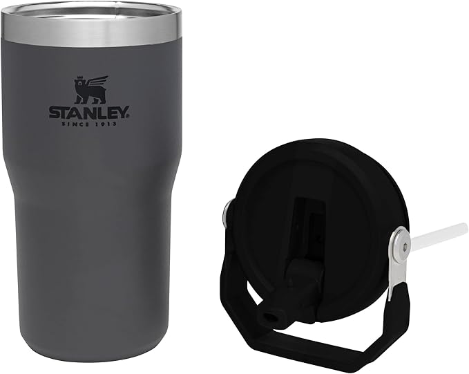 Stanley IceFlow Flip Straw Tumbler with Handle 20 oz | Twist On Lid and Flip Up Straw | Leak Resistant Water Bottle | Insulated Stainless Steel |BPA-Free | Charcoal - Bloomnest