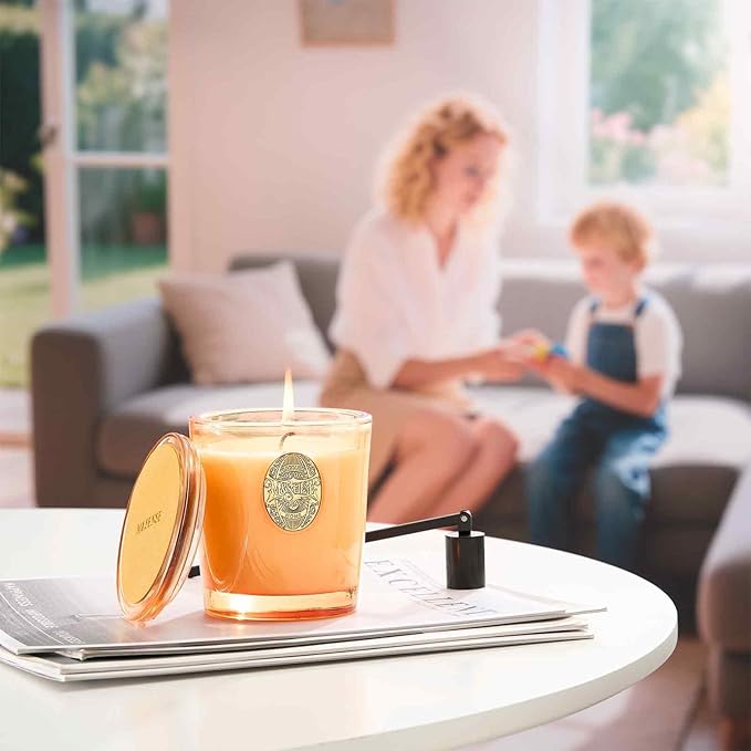 M&SENSE Natural Soy Candle | Basil Ginger & Orange | 9.2 oz, 50H Burn Time | Luxury Scented Candle for Relaxation, Gifting, Home Décor | Ideal for Bedroom, Office, Party Ambiance - Bloomnest
