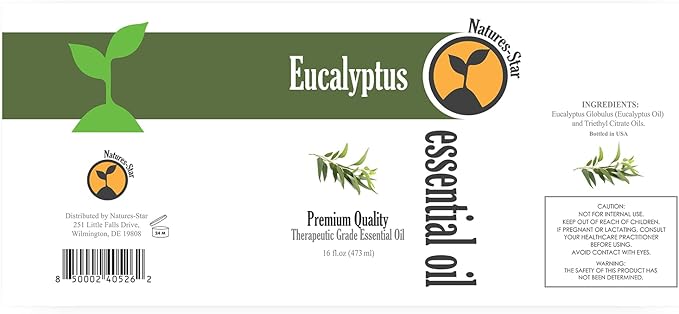 16oz Eucalyptus Essential Oil, Therapeutic Grade, Candle Making, Candle Scents, Soap Making, Aromatherapy Oil - Eucalyptus Scent - Bloomnest