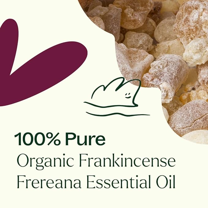 Plant Therapy Organic Frankincense Frereana Essential Oil 100% Pure, USDA Certified Organic, Undiluted, Natural Aromatherapy, Therapeutic Grade 10 mL (1/3 oz) PlantTherapy