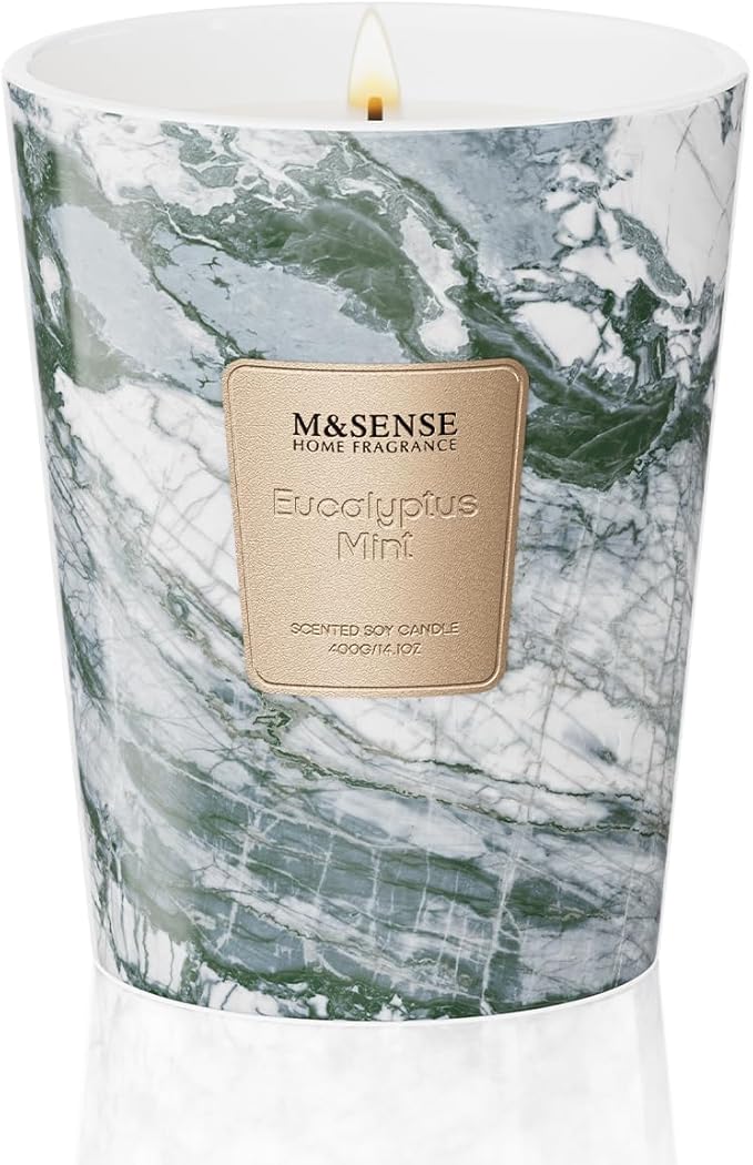 M&SENSE EucalyptusMint Scented Candles for Home, Lead-Free Wick Highly Scented Jar Candles, 14.1 Oz 80 Hours Lasting Burning Candles Gifts for Women, Relaxing Aromatherapy Candle for Stress Relief - Bloomnest