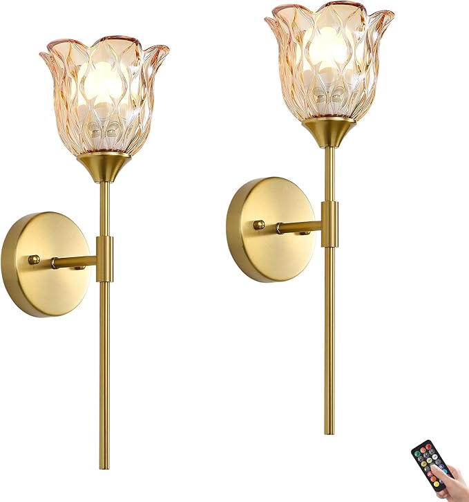 2 Pack Vintage Battery Operated Wall Sconce with Amber Glass Lampshade, Wireless Rechargeable Battery Powered RGB Wall Light with Remote Control, for Bedside Bedroom Doorway - Bloomnest