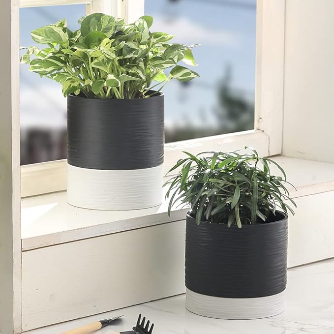 Nihow Ceramic Plant Pot: 6 Inch Planter with Drainage Hole & Saucer for Indoor & Outdoor Plants - Cylinder Round Flower Pot for Succulent/Herbs/Violets - Black & White - Bloomnest