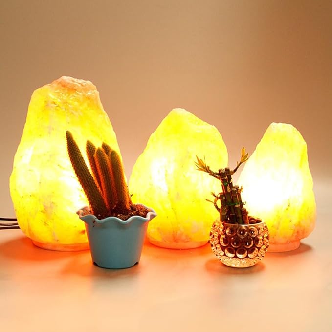 Himalayan Salt Lamp Cord 6FT with Dimmer Switch - E12 Socket & 5 Free 15W Bulbs, Replacement Power Cord for Salt Rock Lamps - Bloomnest