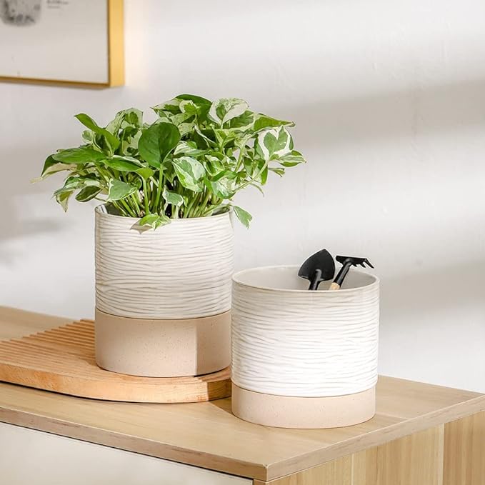 Nihow Self Watering Plant Pot: 6 Inch Ceramic Planter with Drainage Hole & Water Storage Plus for Indoor & Outdoor Plants - Cylinder Round Flower Pot for Succulent/Herbs/Violets - Cream White & Brown - Bloomnest