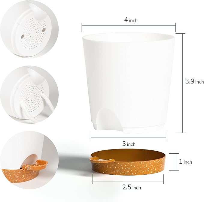 4 inch Small Plant Pots for Outdoor Indoor Plants, 5 Pack Planters with Drainage Holes and Tray, Small Self Watering Pots for Succulent,Cactus, Aloe and Other Plants (White) - Bloomnest