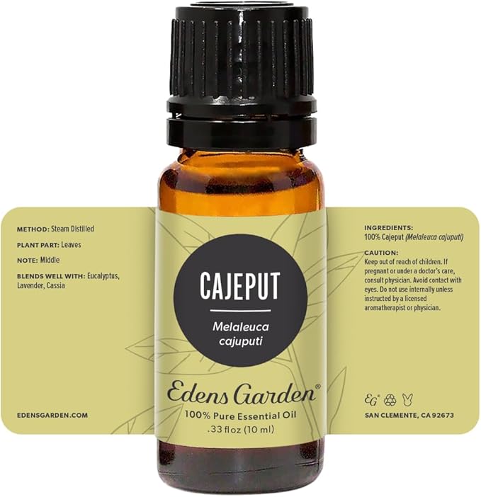 Edens Garden Cajeput Essential Oil, 100% Pure Therapeutic Grade (Undiluted Natural/Homeopathic Aromatherapy Scented Essential Oil Singles) 10 ml EdensGarden