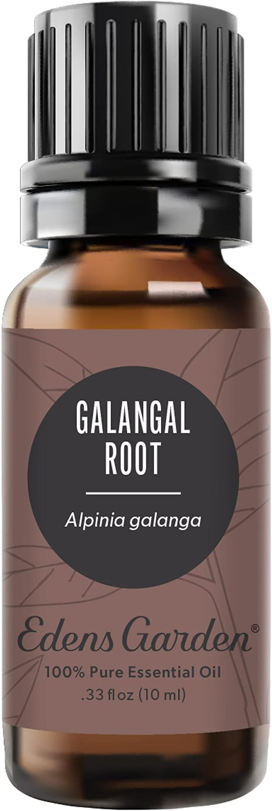 Edens Garden Galangal Root Essential Oil, 100% Pure Therapeutic Grade (Undiluted Natural/Homeopathic Aromatherapy Scented Essential Oil Singles) 10 ml - Bloomnest