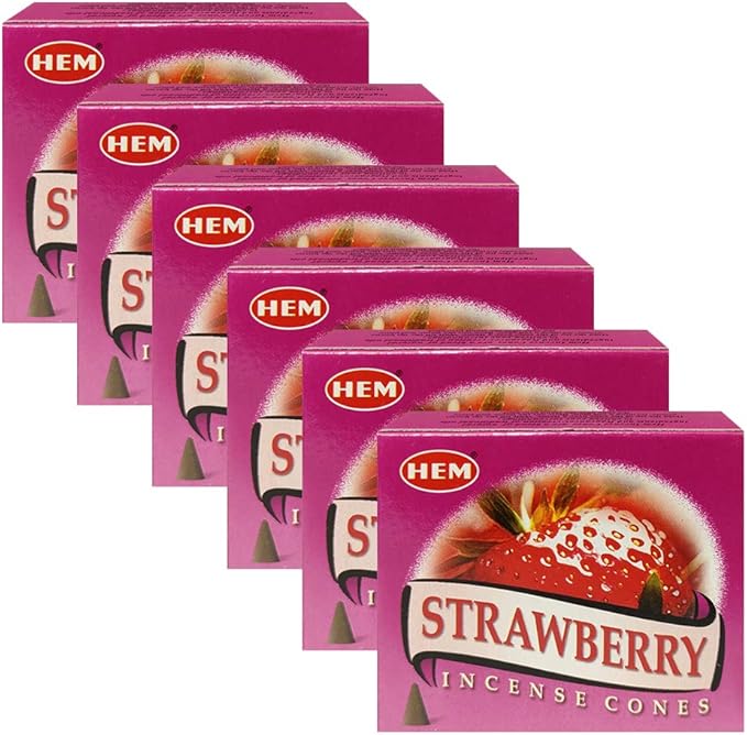 TRUMIRI Incense Cone Holder Bundle with Hem Strawberry Incense Cones - Pack of 6 (Approx 60 Cones) TRUMIRI